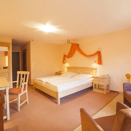 Backenkoehler 3* غانديركيسي