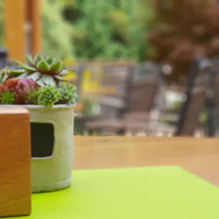 Hotel Backenköhler 3*