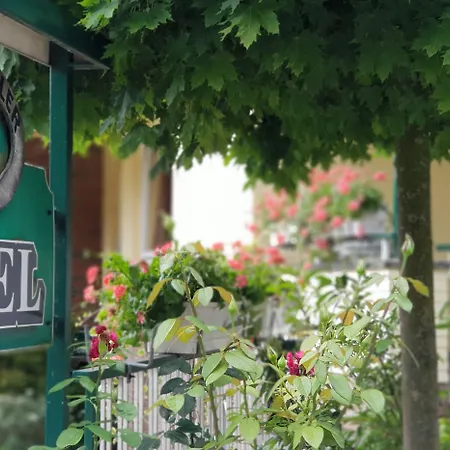 Backenkoehler غانديركيسي