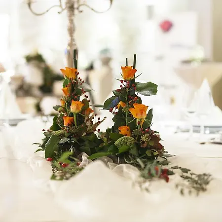 Backenköhler Ganderkesee